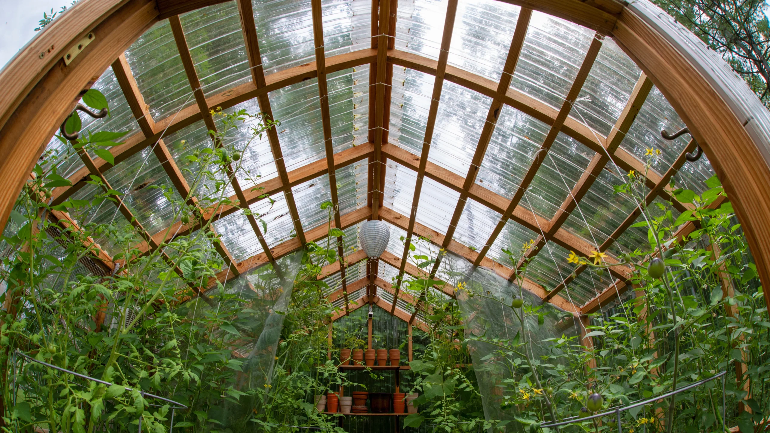 Bâtiments agricoles : serre en bois